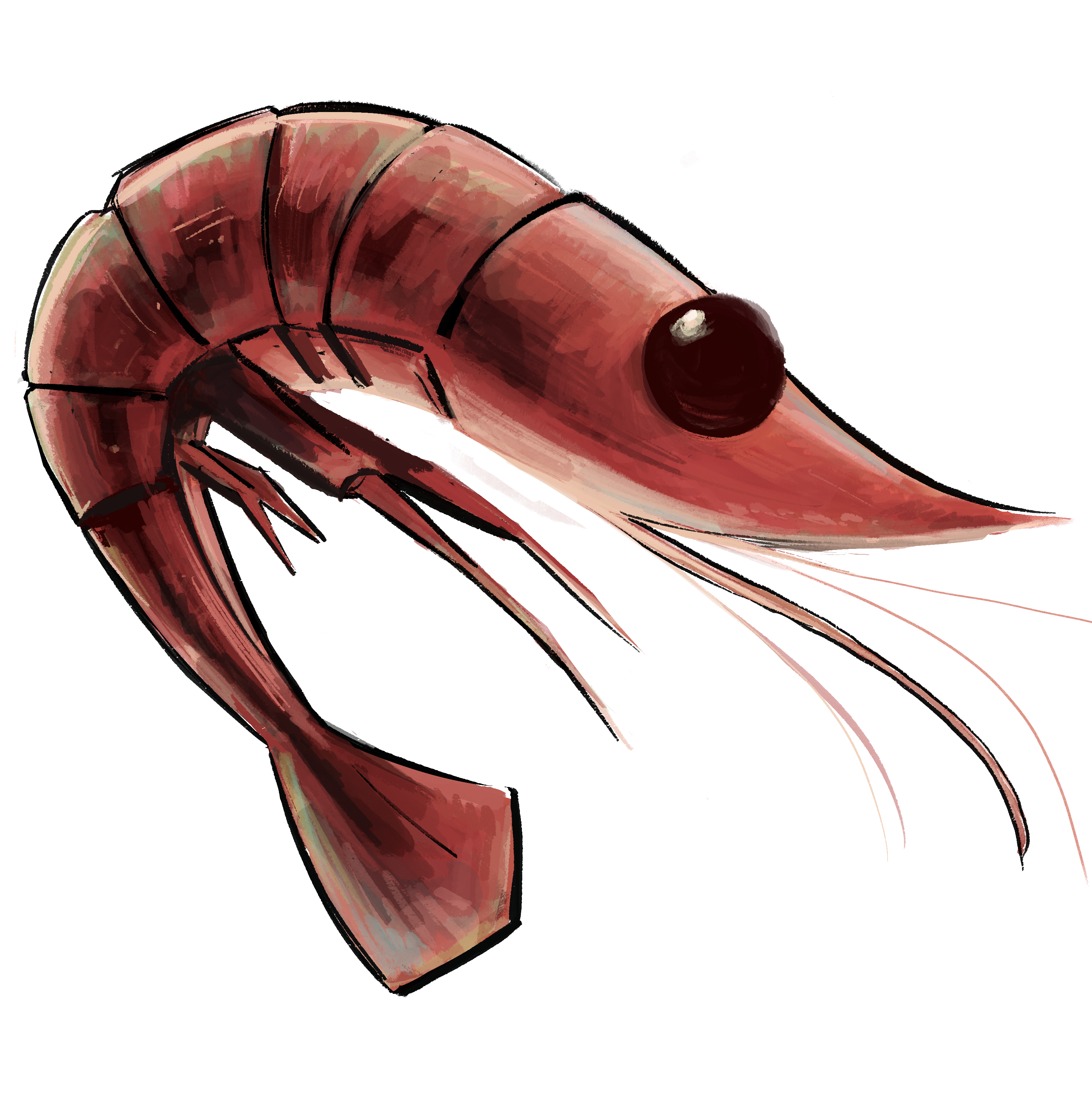 Tales of the Cult: The Shrimp Cult Press Blog